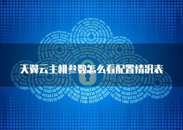 天翼云主机参数怎么看配置情况表