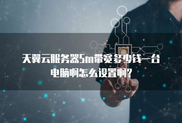 天翼云服务器5m带宽多少钱一台电脑啊怎么设置啊?