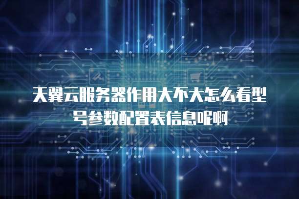 天翼云服务器作用大不大怎么看型号参数配置表信息呢啊