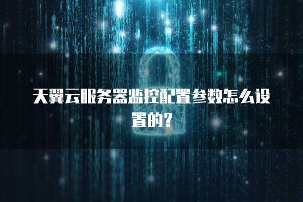 天翼云服务器监控配置参数怎么设置的?