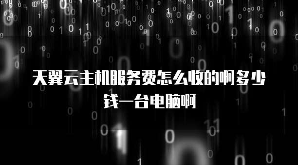 天翼云主机服务费怎么收的啊多少钱一台电脑啊