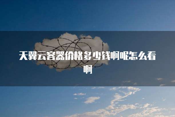 天翼云容器价格多少钱啊呢怎么看啊