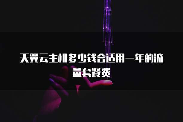 天翼云主机多少钱合适用一年的流量套餐费