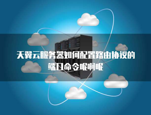 天翼云服务器如何配置路由协议的端口命令呢啊呢