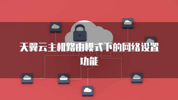 天翼云主机路由模式下的网络设置功能