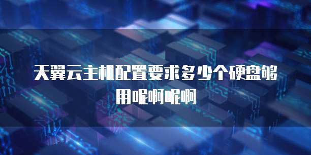 天翼云主机配置要求多少个硬盘够用呢啊呢啊
