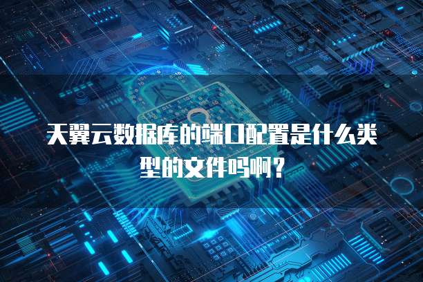 天翼云数据库的端口配置是什么类型的文件吗啊?