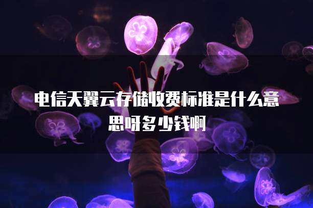 电信天翼云存储收费标准是什么意思呀多少钱啊
