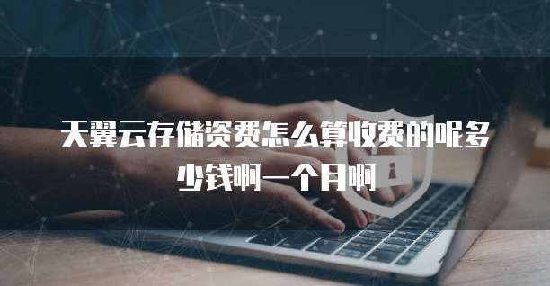 天翼云存储资费怎么算收费的呢多少钱啊一个月啊