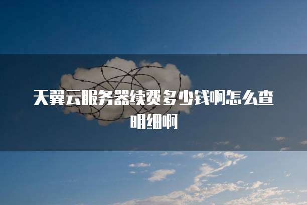 天翼云服务器续费多少钱啊怎么查明细啊