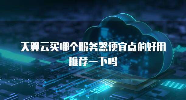 天翼云买哪个服务器便宜点的好用推荐一下吗