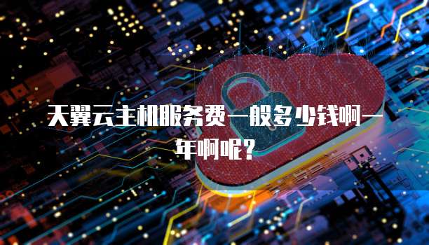天翼云主机服务费一般多少钱啊一年啊呢?