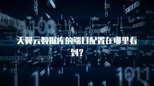 天翼云数据库的端口配置在哪里看到?