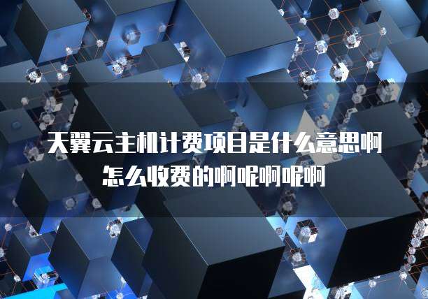 天翼云主机计费项目是什么意思啊怎么收费的啊呢啊呢啊