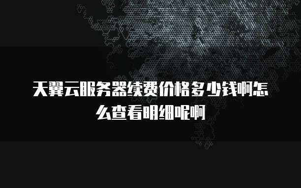 天翼云服务器续费价格多少钱啊怎么查看明细呢啊
