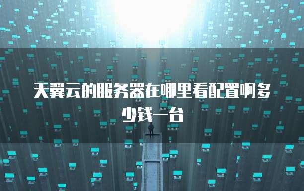 天翼云的服务器在哪里看配置啊多少钱一台
