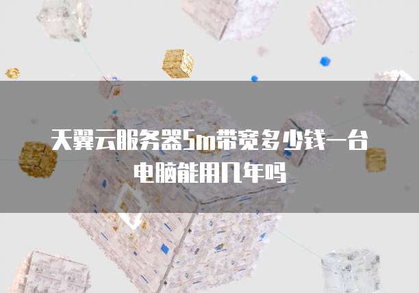 天翼云服务器5m带宽多少钱一台电脑能用几年吗
