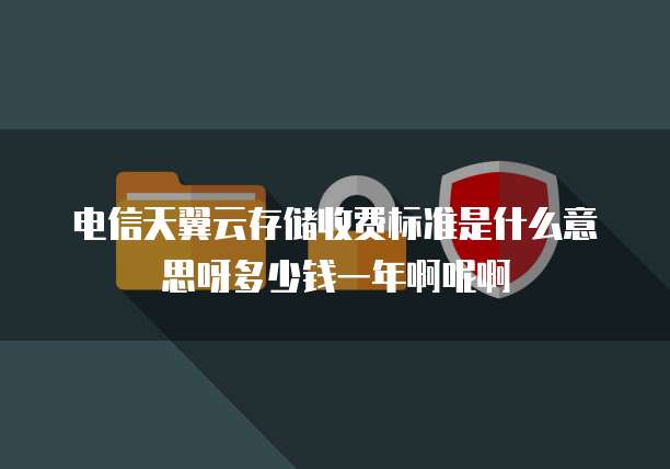 电信天翼云存储收费标准是什么意思呀多少钱一年啊呢啊