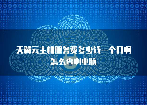 天翼云主机服务费多少钱一个月啊怎么查啊电脑