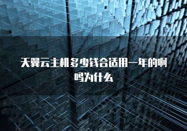 天翼云主机多少钱合适用一年的啊吗为什么