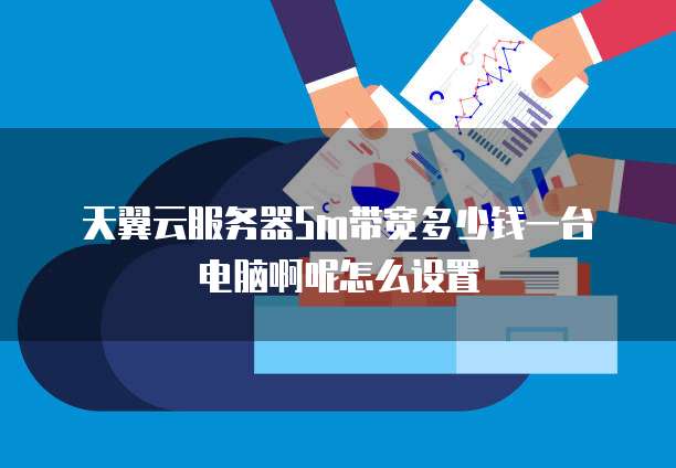 天翼云服务器5m带宽多少钱一台电脑啊呢怎么设置