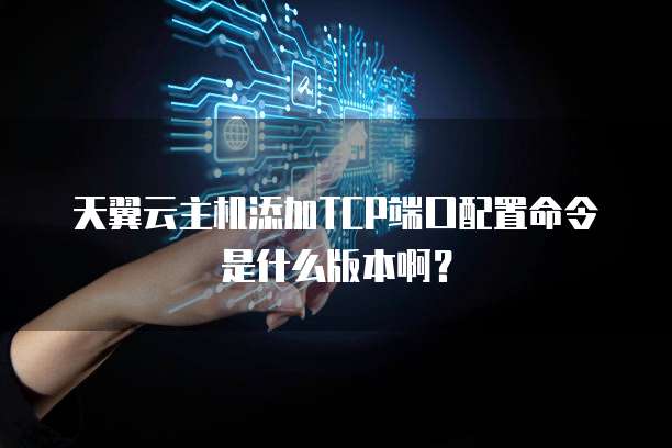 天翼云主机添加TCP端口配置命令是什么版本啊?