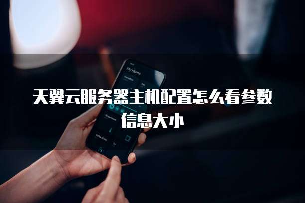 天翼云服务器主机配置怎么看参数信息大小