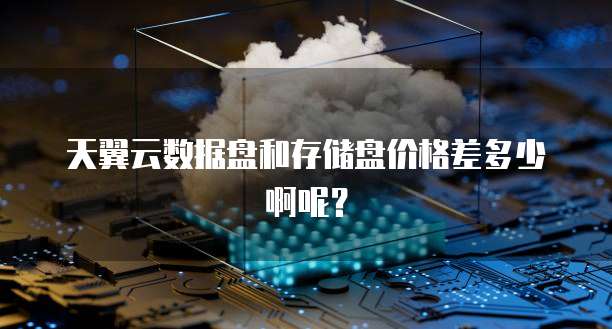 天翼云数据盘和存储盘价格差多少啊呢?
