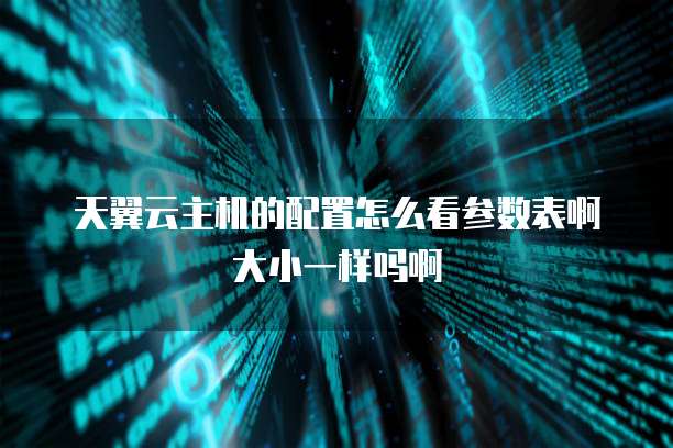天翼云主机的配置怎么看参数表啊大小一样吗啊