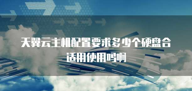 天翼云主机配置要求多少个硬盘合适用使用吗啊