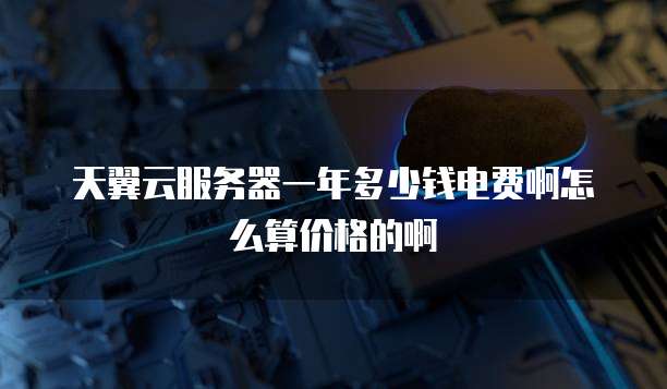 天翼云服务器一年多少钱电费啊怎么算价格的啊