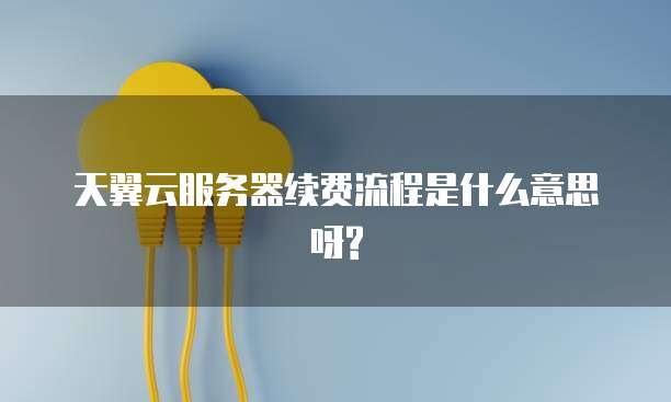 天翼云服务器续费流程是什么意思呀?