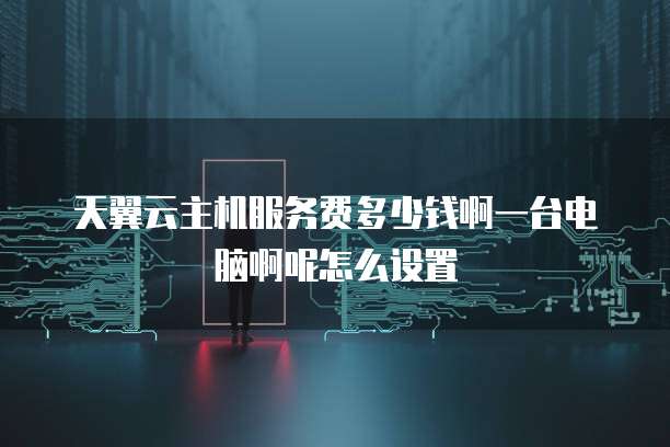 天翼云主机服务费多少钱啊一台电脑啊呢怎么设置