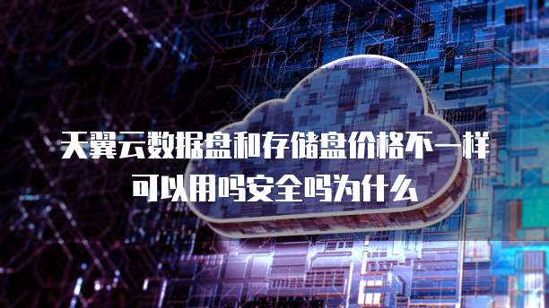 天翼云数据盘和存储盘价格不一样可以用吗安全吗为什么