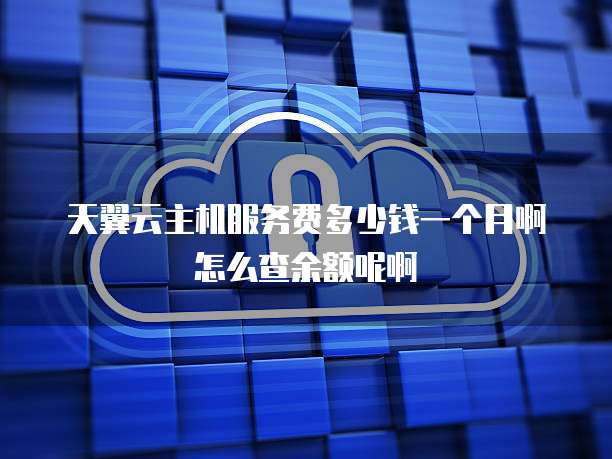 天翼云主机服务费多少钱一个月啊怎么查余额呢啊