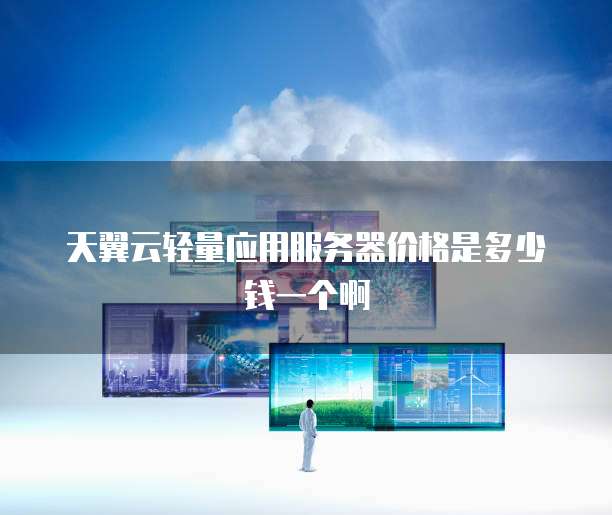 天翼云轻量应用服务器价格是多少钱一个啊