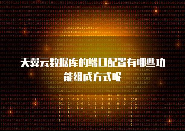 天翼云数据库的端口配置有哪些功能组成方式呢