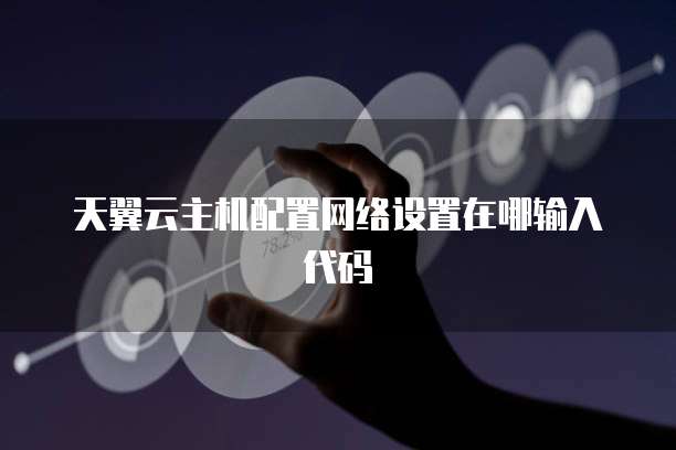 天翼云主机配置网络设置在哪输入代码