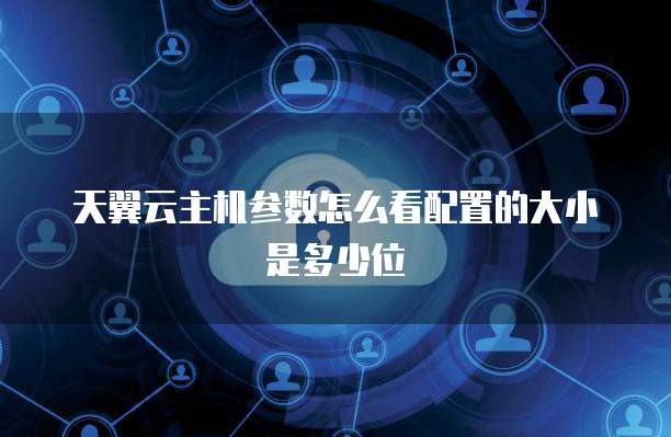 天翼云主机参数怎么看配置的大小是多少位