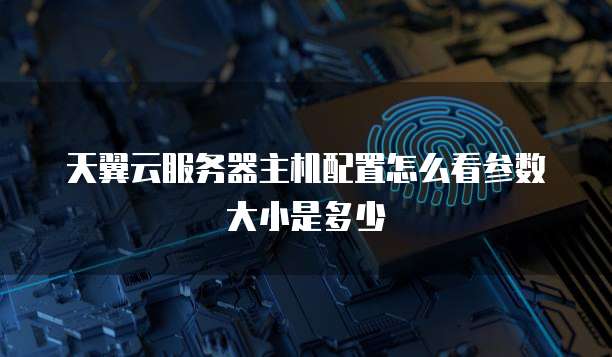 天翼云服务器主机配置怎么看参数大小是多少