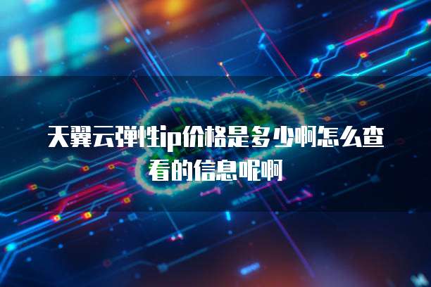 天翼云弹性ip价格是多少啊怎么查看的信息呢啊