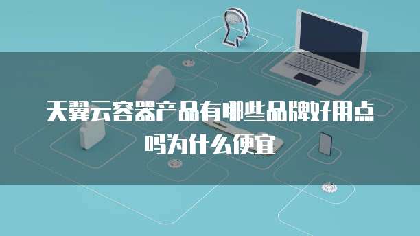 天翼云容器产品有哪些品牌好用点吗为什么便宜