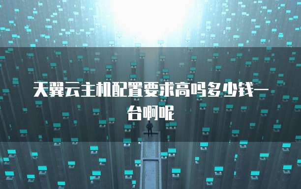 天翼云主机配置要求高吗多少钱一台啊呢