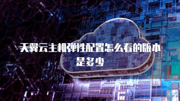 天翼云主机弹性配置怎么看的版本是多少
