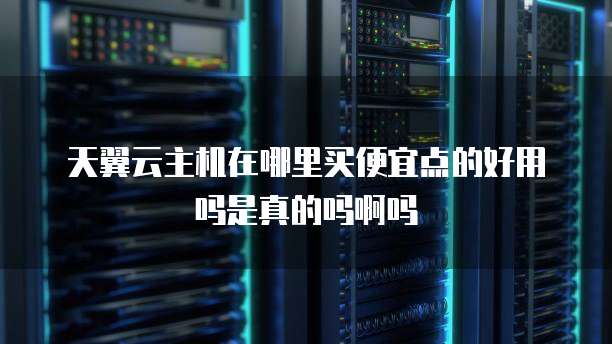 天翼云主机在哪里买便宜点的好用吗是真的吗啊吗
