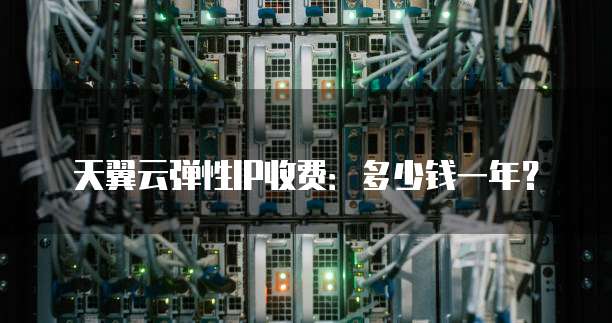 天翼云弹性IP收费:多少钱一年?