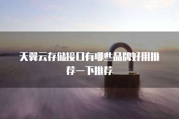 天翼云存储接口有哪些品牌好用推荐一下推荐