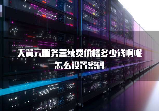 天翼云服务器续费价格多少钱啊呢怎么设置密码