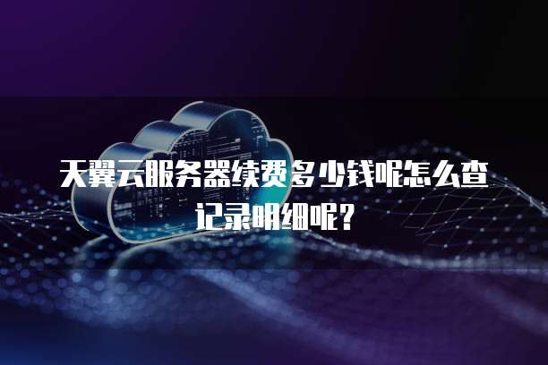 天翼云服务器续费多少钱呢怎么查记录明细呢?