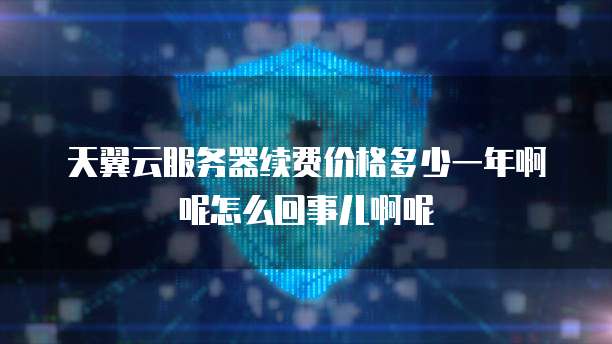 天翼云服务器续费价格多少一年啊呢怎么回事儿啊呢